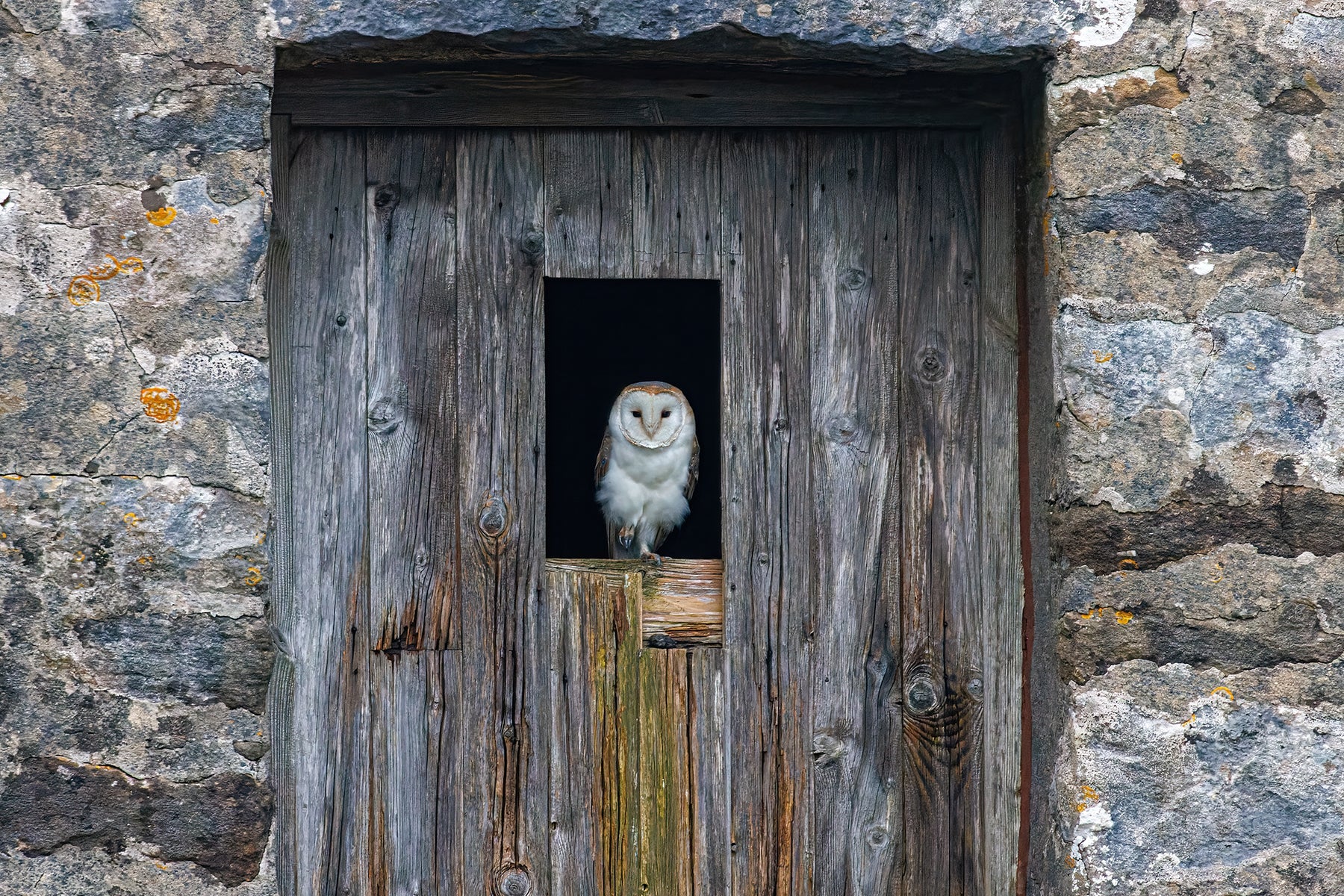 About Nature View Optics